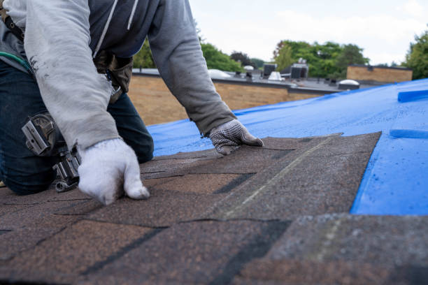 Roof Installation Near Me in Dalton Gardens, ID
